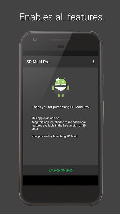 SD Maid Pro APK 